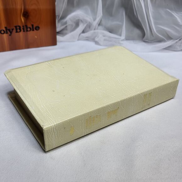 Holy Bible Illustrated Light of the World Edition Vintage Wood Cedar Box - Picture 14 of 15